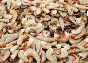 Headless shrimp - dominick's