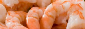 Shrimp Health Facts