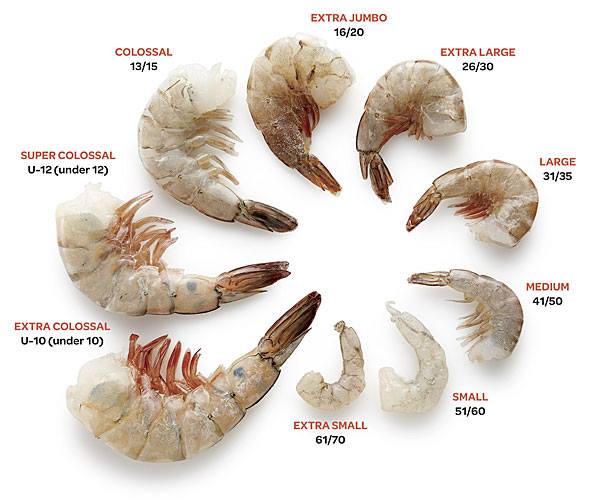 Gulf Of Mexico Shrimp Season 2024 - Maren Revkah