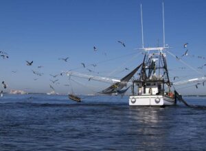 A shrimp boat with their nets cast into the ocean
