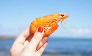 A woman holding a shrimp in her hand.