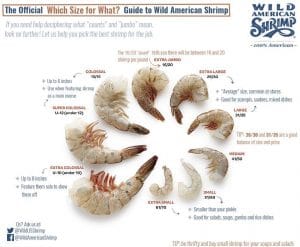 An infographic detailing the different shrimp sizes.