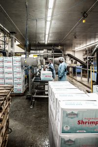 Boxes of fresh frozen shrimp being packaged at Ocean Select Seafood's facilities.