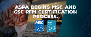 American Shrimp - Marine Stewardship Council & RFM