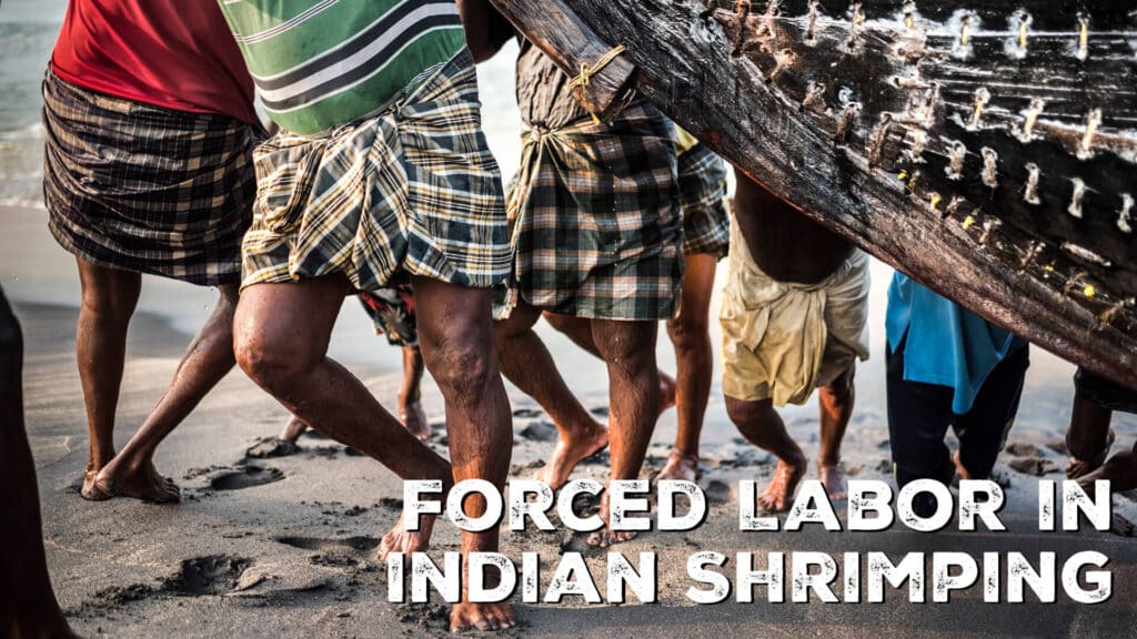 ASPA Fights Back Against Indian Shrimp Imports Made with Forced Labor