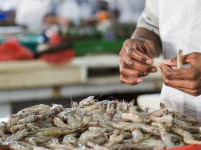 International Trade Commission Votes to Impose Duties on Shrimp from Four Countries